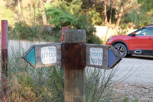 טיול יער הקדושים